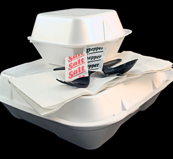 Oregon's Move to Ban Expanded Polystyrene Foam (Styrofoam)